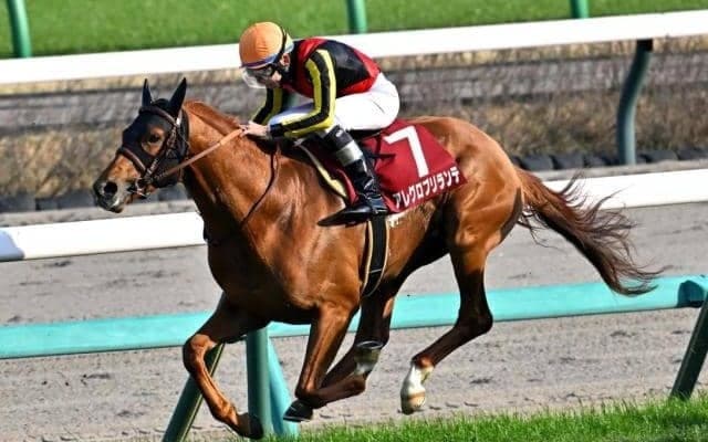 夏競馬の開幕に2重賞 大井では上半期のダート王決定戦・帝王賞/今週の競馬界の見どころ
