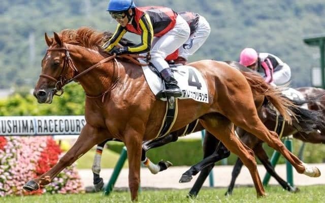 【ラジオNIKEEI賞見どころ】新馬勝ちの地で近走の鬱憤晴らすアレグロブリランテ