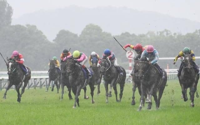 【宝塚記念】売上は246億594万2500円で昨年より約27.5億円減少