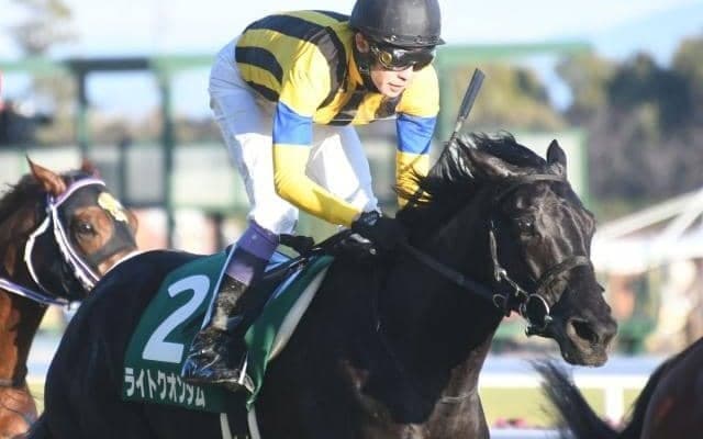 【先週のJRA抹消馬】ディープ最終世代の重賞馬ライトクオンタム、ダートで活躍のアイオライトやキリンジなど