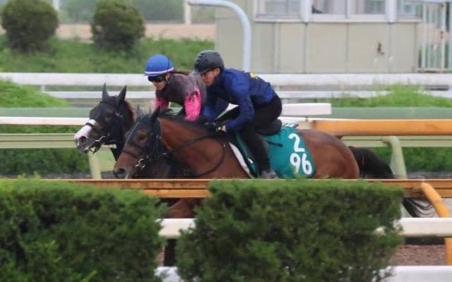 短距離重賞3勝馬ハクサンムーンの姪 ロワンが永島まなみ騎手を背に初陣/関西馬メイクデビュー情報