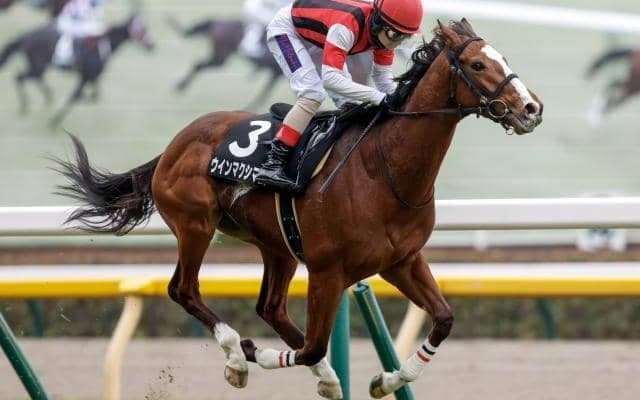 【AI予想・ラジオNIKKEI賞】前走の人気やレース格には要注意！ 本命候補は開幕週にぴったりな先行力豊かな3頭