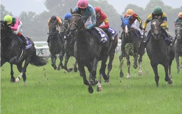 昔は雨が降ると競馬も中止だった!? 中には「雨でもやります」をウリにした例も
