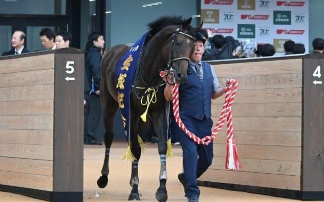 道悪への高い適性は母譲り？ 血統で振り返るブローザホーンの宝塚記念制覇