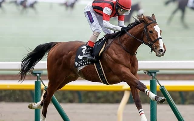 【ラジオNIKKEI賞想定騎手】ウインマクシマムは松岡正海騎手、サトノシュトラーセはM.デムーロ騎手