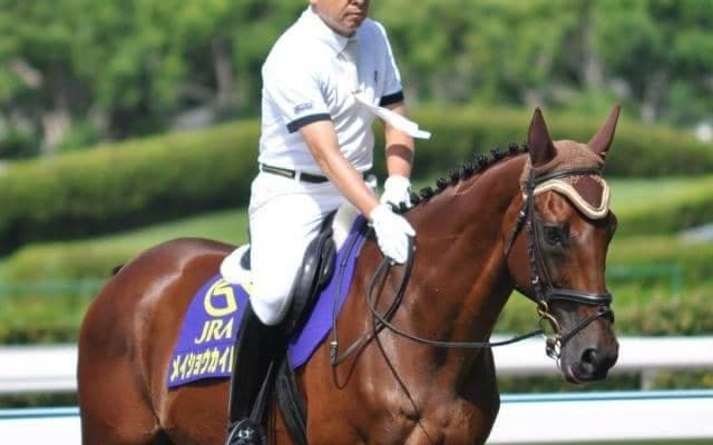 史上唯一の同年3冠馬 小倉を愛し、愛された名馬・メイショウカイドウ
