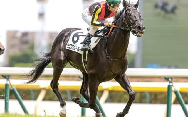 来年が“黄金世代”の可能性？ 2歳戦好調の種牡馬「キタサンブラック」