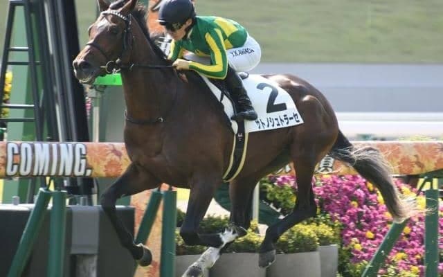 【ラジオNIKKEI賞予想オッズ】サトノシュトラーセが予想1番人気