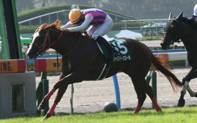 【北九州記念予想オッズ】ジャスパークローネが予想1番人気