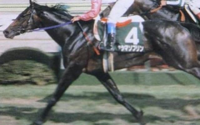 後のGI馬2頭を制して日本ダービー3着馬が重賞初制覇 豪華メンバーのラジオたんぱ賞から30年