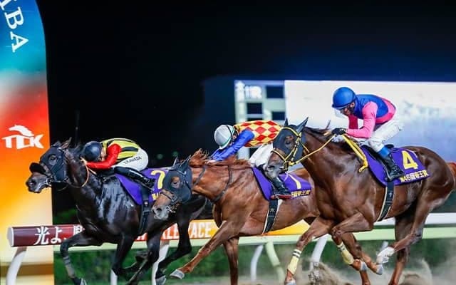 【大井・帝王賞注目馬】上半期のダート王者決する一戦 中央・地方から好メンバー集う