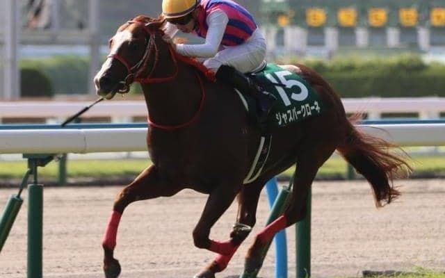 北九州記念レース史上初の偉業へ 昨夏重賞連勝の快足馬が連覇狙う