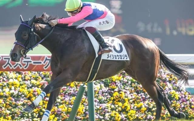 【ラジオNIKKEI賞予想】格言「夏は牝馬」は通用せず!? AIが推奨する人気薄の一頭とは