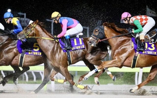 【帝王賞】浜中「悪い条件重なった」メイショウハリオ三連覇ならず