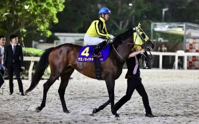 【帝王賞】西「雰囲気も変わってくると思う」大井サヨノネイチヤは5着