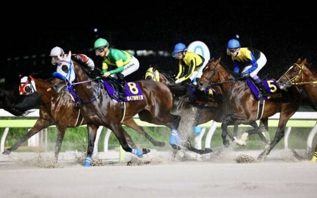 【帝王賞】川田「勝ち馬が強かったです」レース後ジョッキーコメント