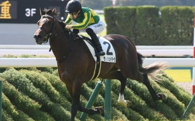 【ラジオNIKKEI賞出走馬・騎手確定】サトノシュトラーセ＆M.デムーロ騎手、ウインマクシマム＆松岡正海騎手など12頭