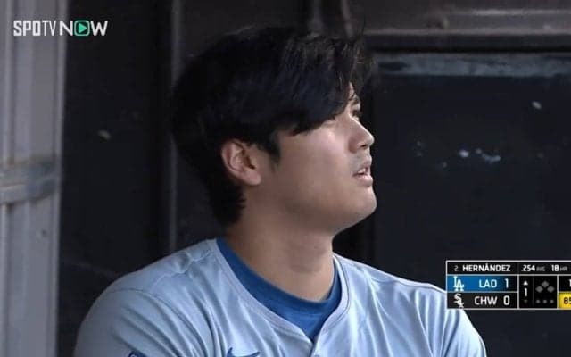 ヤバいぞ！ショーヘイのだ！大谷翔平、特大25号をキャッチしたファンに訪れた“人生最高の瞬間”スタンドで大興奮の瞬間