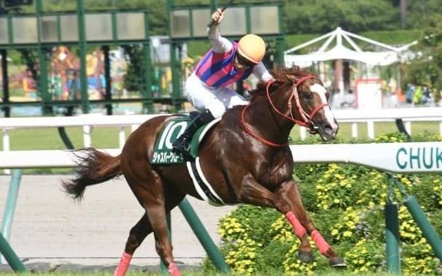【北九州記念枠順確定】ジャスパークローネは6枠11番、ピューロマジックは6枠12番
