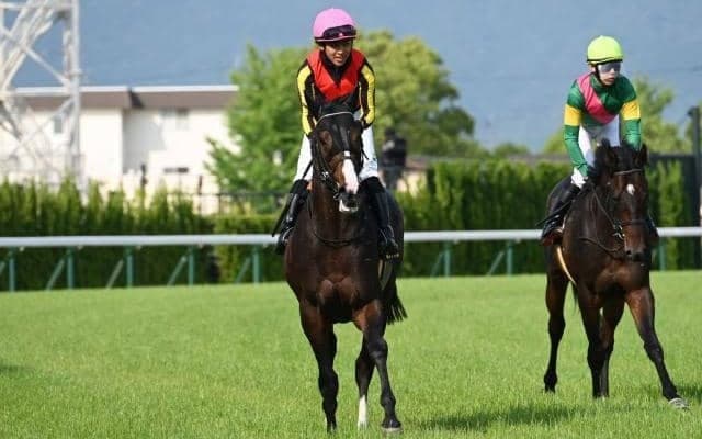 【ラジオNIKKEI賞枠順確定】ミナデオロは7枠10番、ウインマクシマムは5枠6番