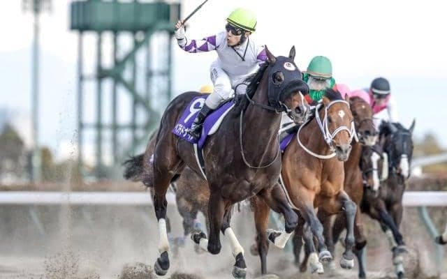 2番人気が約半数勝利 歴代4位の単勝208.6倍での勝利や3連単153万超え波乱も【春GI振り返り】
