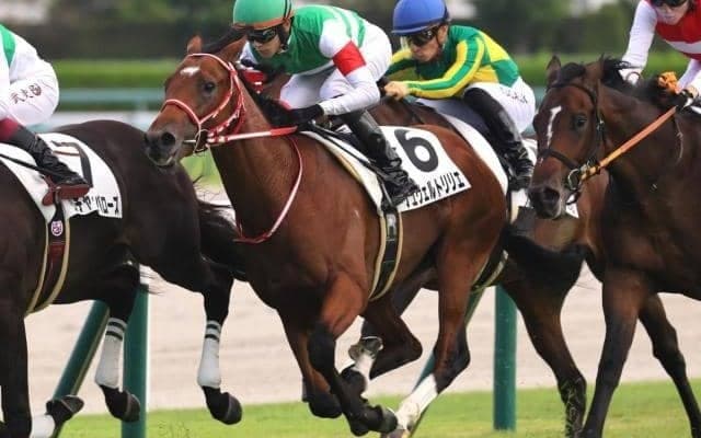 母に19年の年度代表馬リスグラシューを持つ期待馬 未勝利脱出へ負けられない戦い