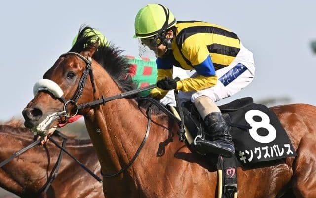 【七夕賞想定馬・騎手】キングズパレス、リフレーミングなど16頭