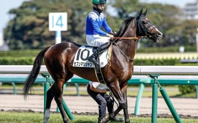 【今日の注目ポイント】博多Sでセブンマジシャンがオープン入りを狙う