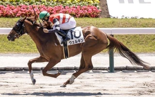 【福島2R】単勝217.7倍の伏兵が勝利 3連単は327万超えの大波乱に