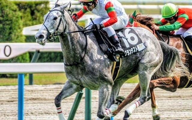 北九州記念は高速決着なら内＆前有利 絶好4番枠のグランテストで好配狙い