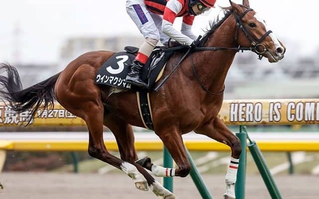 【ラジオNIKKEI賞前日オッズ】ウインマクシマムが4.7倍で1番人気