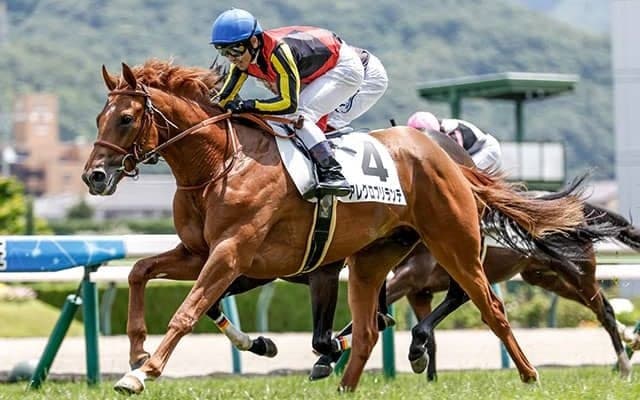 【今日の注目ポイント】福島でラジオNIKKEI賞と小倉で北九州記念