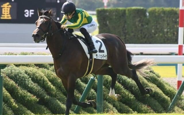 【ラジオNIKKEI賞予想】JRA唯一の3歳ハンデ重賞 開幕週とあってポジショニングも重要なファクターに