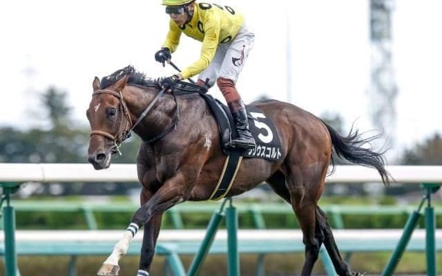 【ラジオNIKKEI賞予想】荒れるレースに妙味傾向がある!? 過去データで探るラジオNIKKEI賞