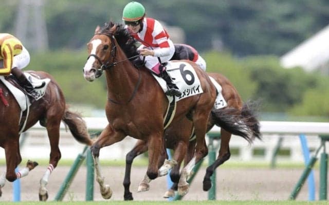 【新馬/小倉6R】永島まなみが新馬連勝…ユメシバイで豪快な追い込み炸裂