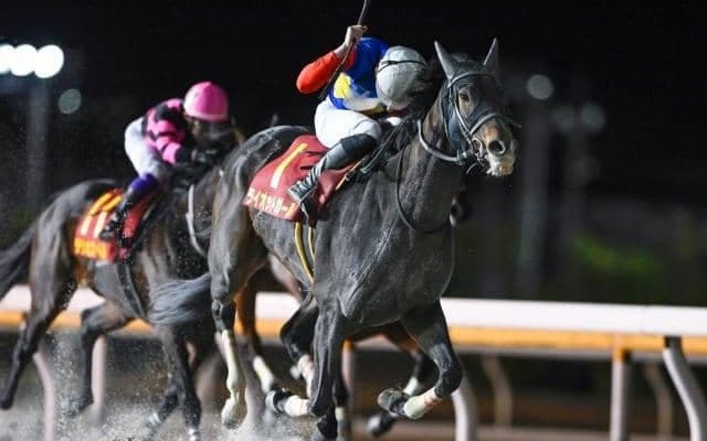 【川崎・スパーキングレディーC枠順】ライオットガールは6枠7番、スピーディキックは4枠4番