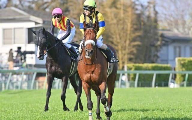 【七夕賞】キングズパレス、リフレーミングらが登録