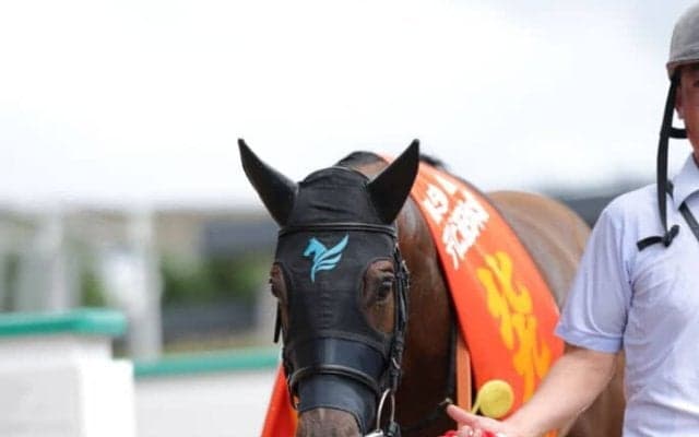 【北九州記念】松山「なんとか粘ってくれと追いました」ピューロマジックが重賞2勝目