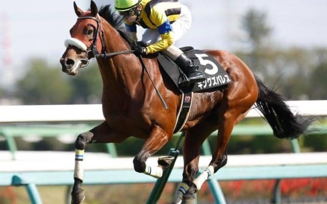 七夕賞とプロキオンSの2重賞/今週の競馬界の見どころ