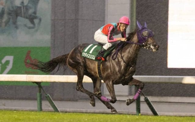 【盛岡・サファイア賞】パラダイスリズムが4馬身差完勝…岩本「スムーズに運べた」