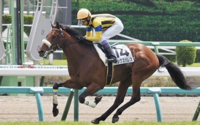 【七夕賞登録馬】キングズパレスなど16頭