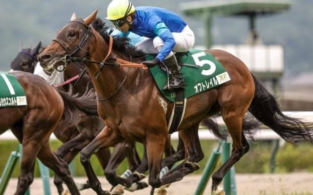 【ラジオNIKKEI賞】売上は62億8038万2200円で昨年より約6.3億円減少