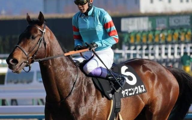 【プロキオンS見どころ】破竹の勢いヤマニンウルスの5連勝に期待