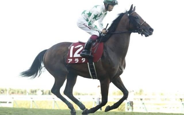 【七夕賞見どころ】復調気配が顕著なアラタが混戦を断つ