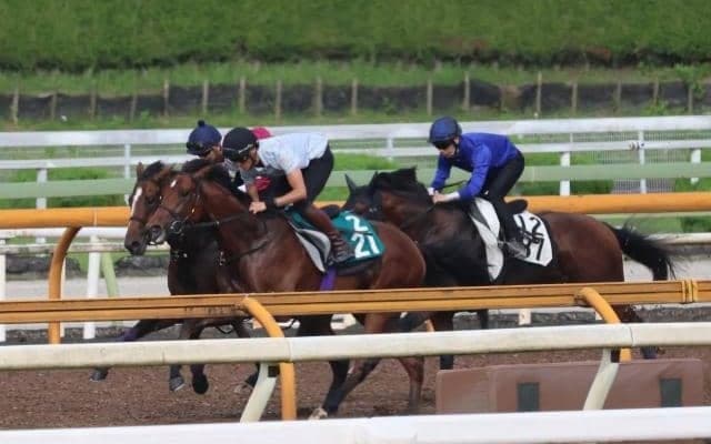 母は北米G1勝ち馬 3億円馬ダノンシーマが小倉で始動/関西馬メイクデビュー情報