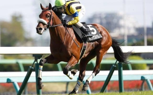 【AI予想・七夕賞】前回の距離には要注意!? 人工知能は前走の内容が光る3頭に高評価