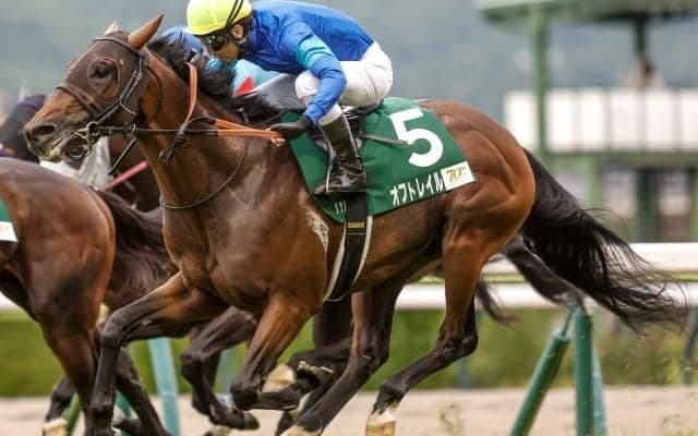 小回りコース向きの持続力感じさせる ラジオNIKKEI賞勝ち馬を血統面から解説