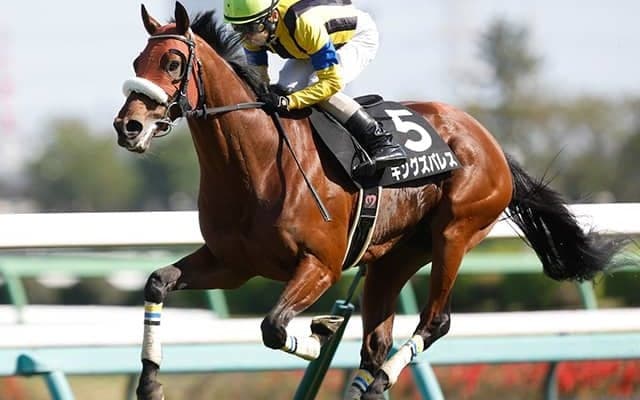 【七夕賞想定騎手】キングズパレスは松岡正海騎手、レッドラディエンスは戸崎圭太騎手