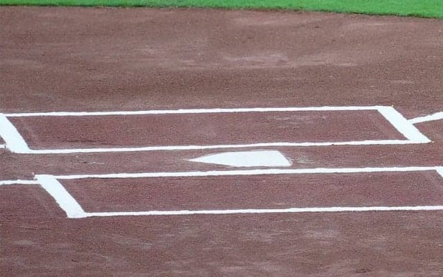 元ヤクルト捕手らが非紳士的行為　出場停止処分に…球団代表「大変遺憾であります」