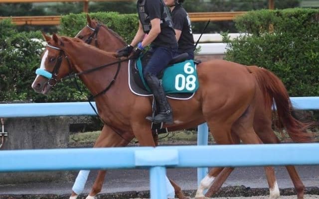 プレスジャンケットなど、先週のゲート試験/栗東トレセンニュース